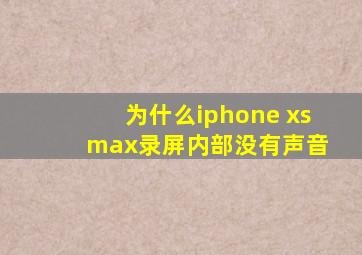 为什么iphone xs max录屏内部没有声音